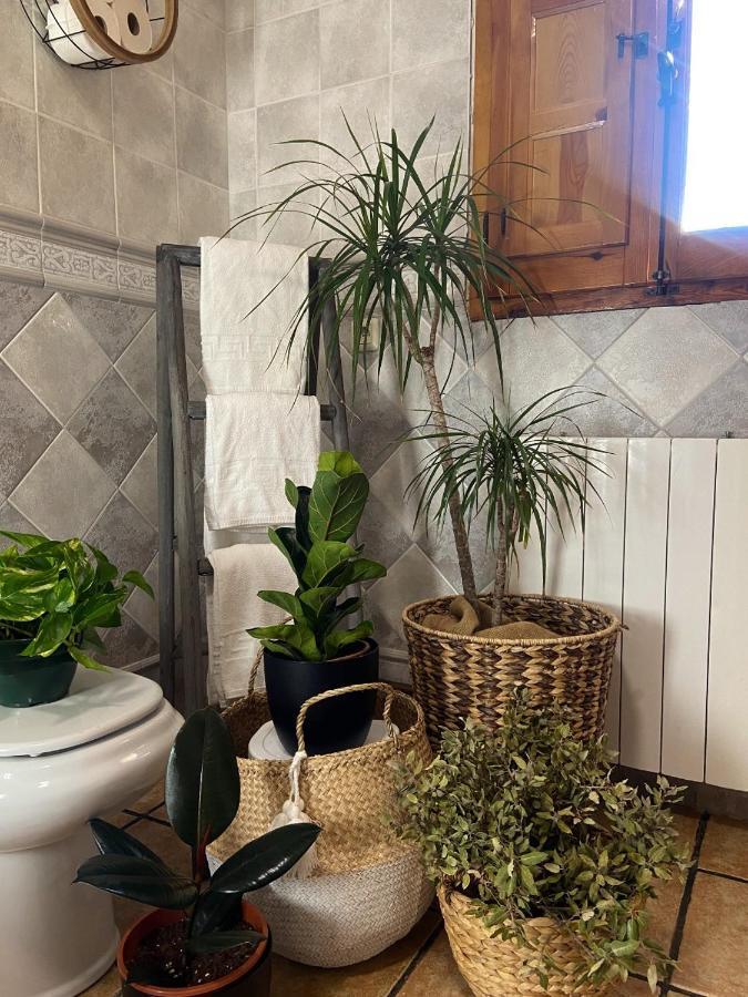 Esse Natura Alojamientos & Lifestyle Pozohondo Exterior photo